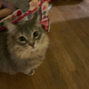 Meet your Posher, Avery